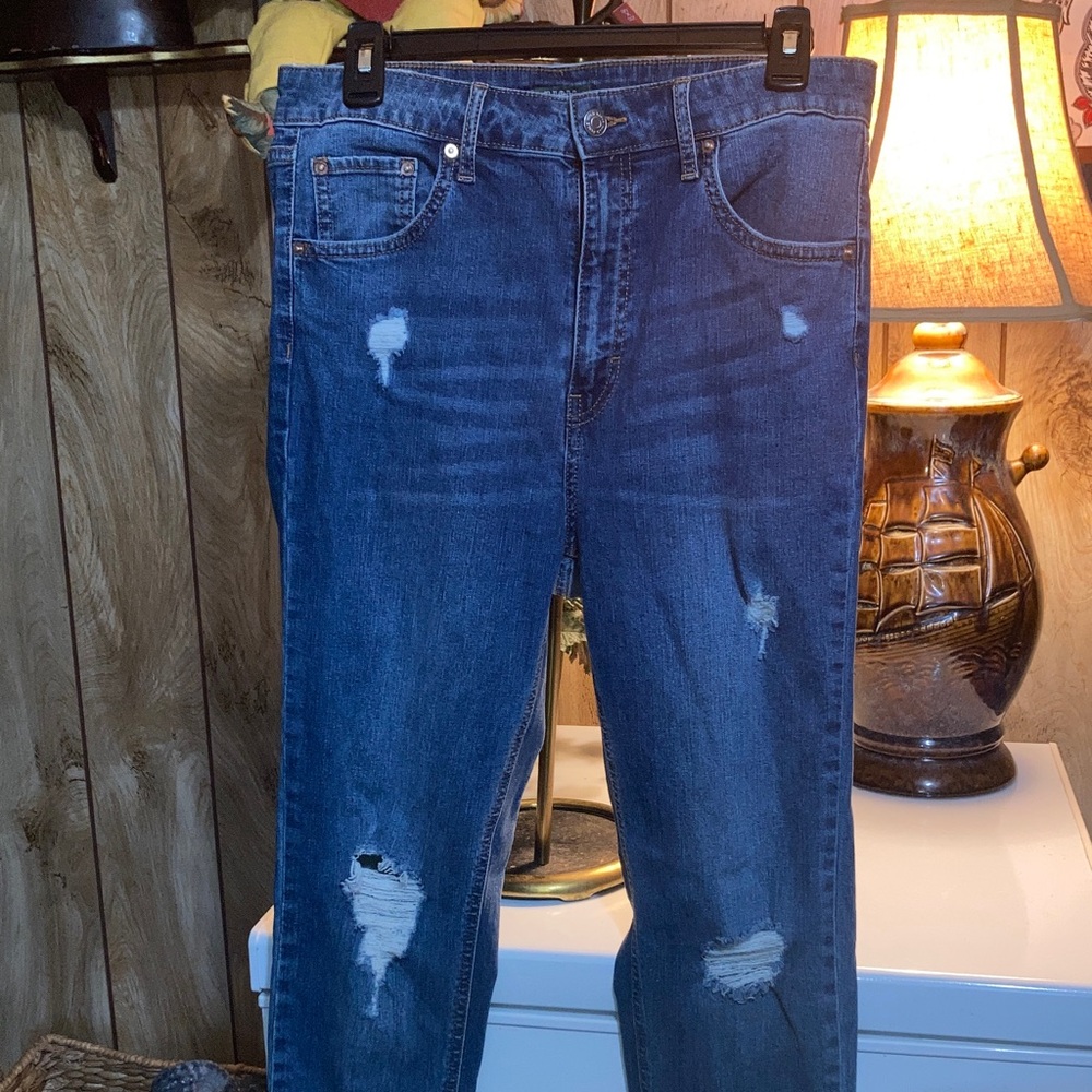 Wild Fable Men's Blue Ripped Jeans